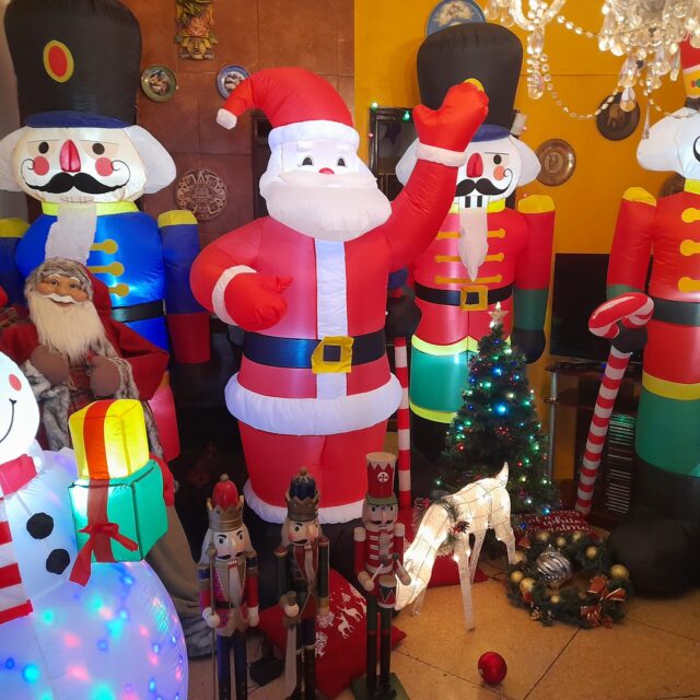 WhatsApp Image 2024-12-20 at 11.07.51 AM (1)